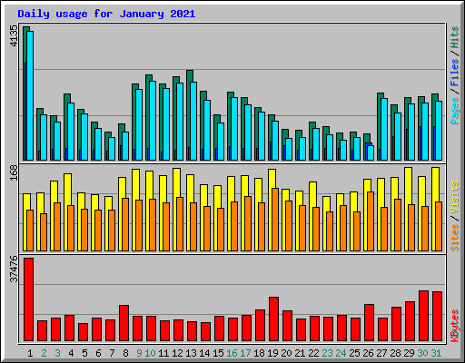 Daily usage for January 2021