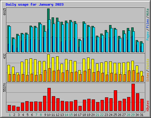 Daily usage for January 2023