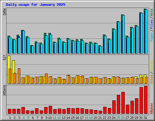 Daily usage for January 2025