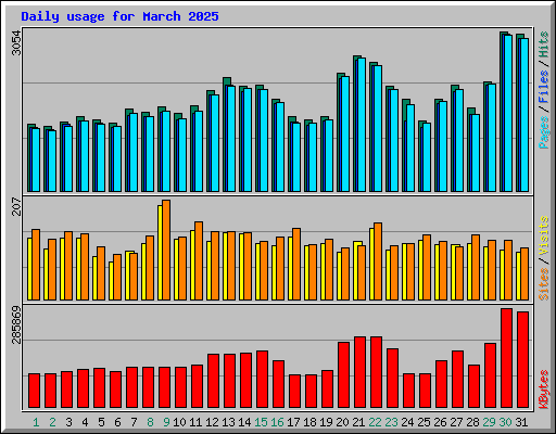 Daily usage for March 2025