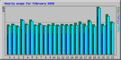 Hourly usage for February 2020