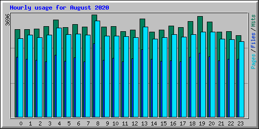 Hourly usage for August 2020