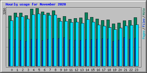 Hourly usage for November 2020