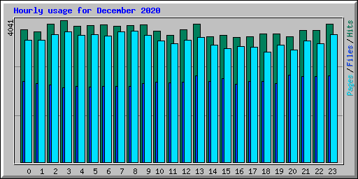 Hourly usage for December 2020