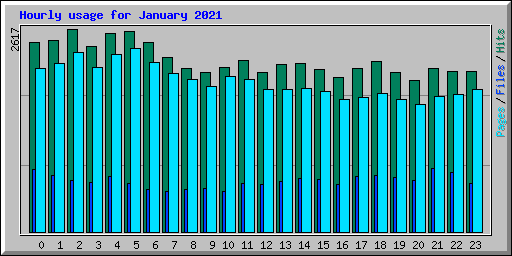 Hourly usage for January 2021