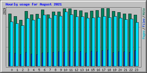 Hourly usage for August 2021