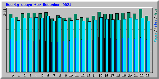 Hourly usage for December 2021