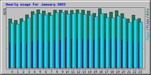 Hourly usage for January 2022