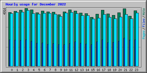 Hourly usage for December 2022