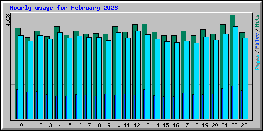 Hourly usage for February 2023