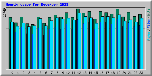 Hourly usage for December 2023