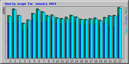 Hourly usage for January 2024