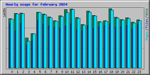 Hourly usage for February 2024