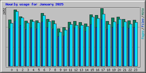 Hourly usage for January 2025