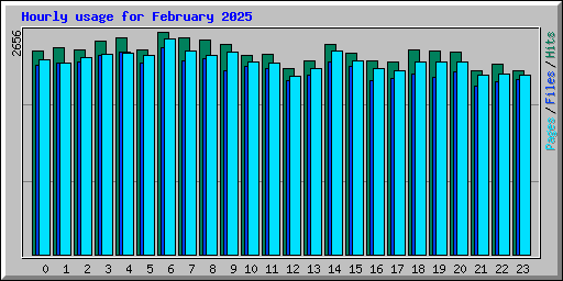 Hourly usage for February 2025