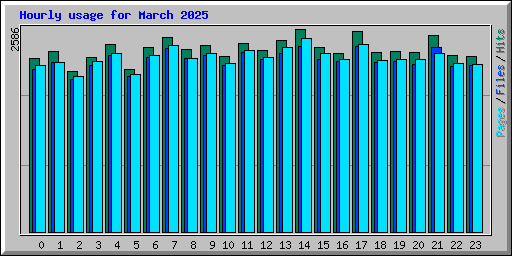 Hourly usage for March 2025
