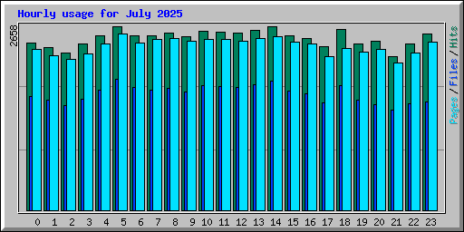 Hourly usage for July 2025
