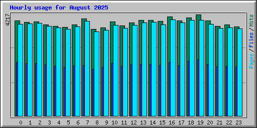Hourly usage for August 2025