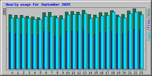 Hourly usage for September 2025