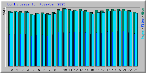 Hourly usage for November 2025