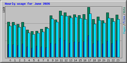 Hourly usage for June 2026